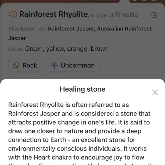 Rainforest Rhyolite earrings. Attracts positive change and connection to earth. - Picture 8 of 8